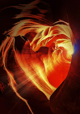 Sunlight in the heart Poster och Canvastavla