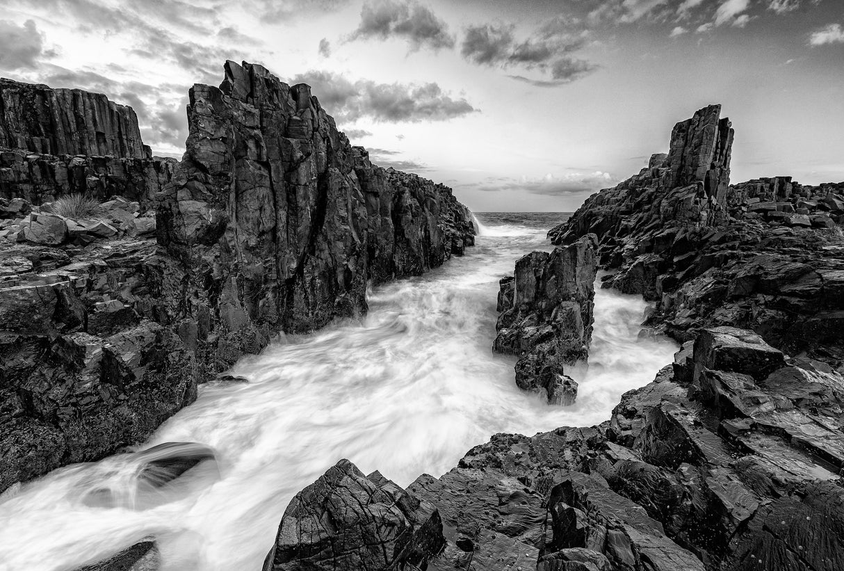 When Dinosaurs roamed the Earth Poster och Canvastavla