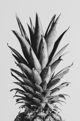 Pinapple Black &amp; White 05 Poster och Canvastavla