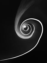 stairs Poster och Canvastavla