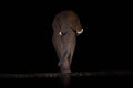 Alone in the dark Poster och Canvastavla