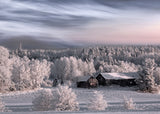 Winter morning Poster och Canvastavla
