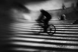 cyclist Poster och Canvastavla