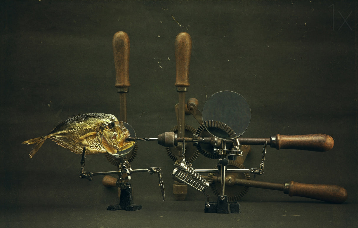 Fish and Drills Poster och Canvastavla