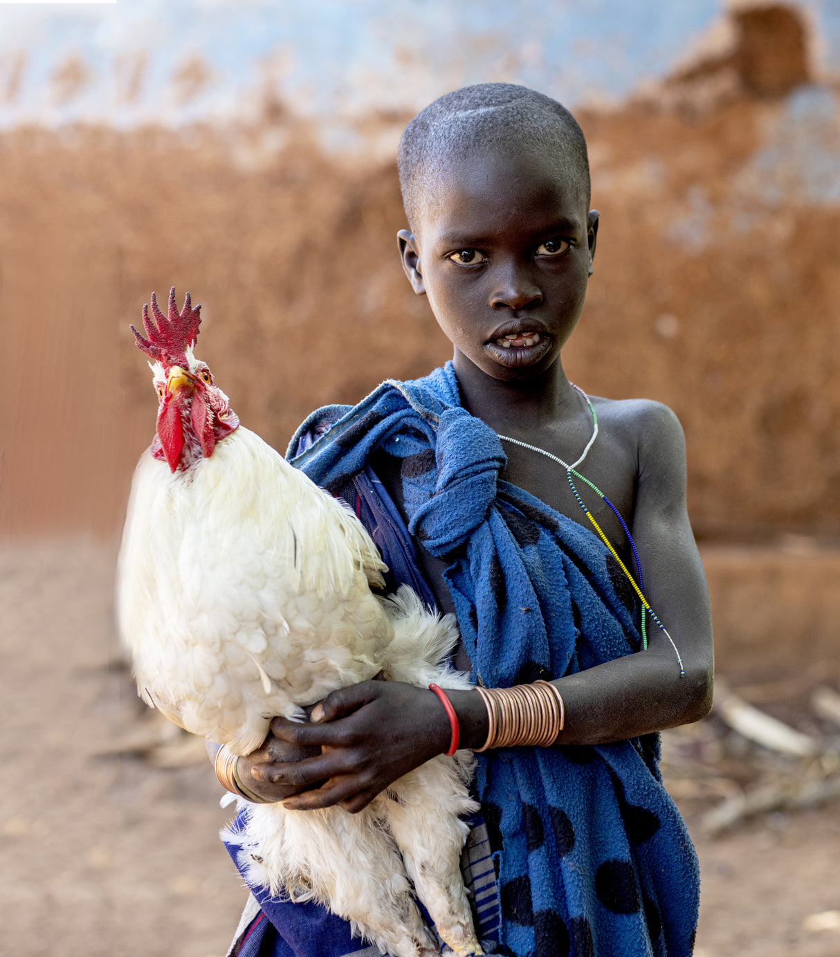 The Boy with the Chicken Poster och Canvastavla