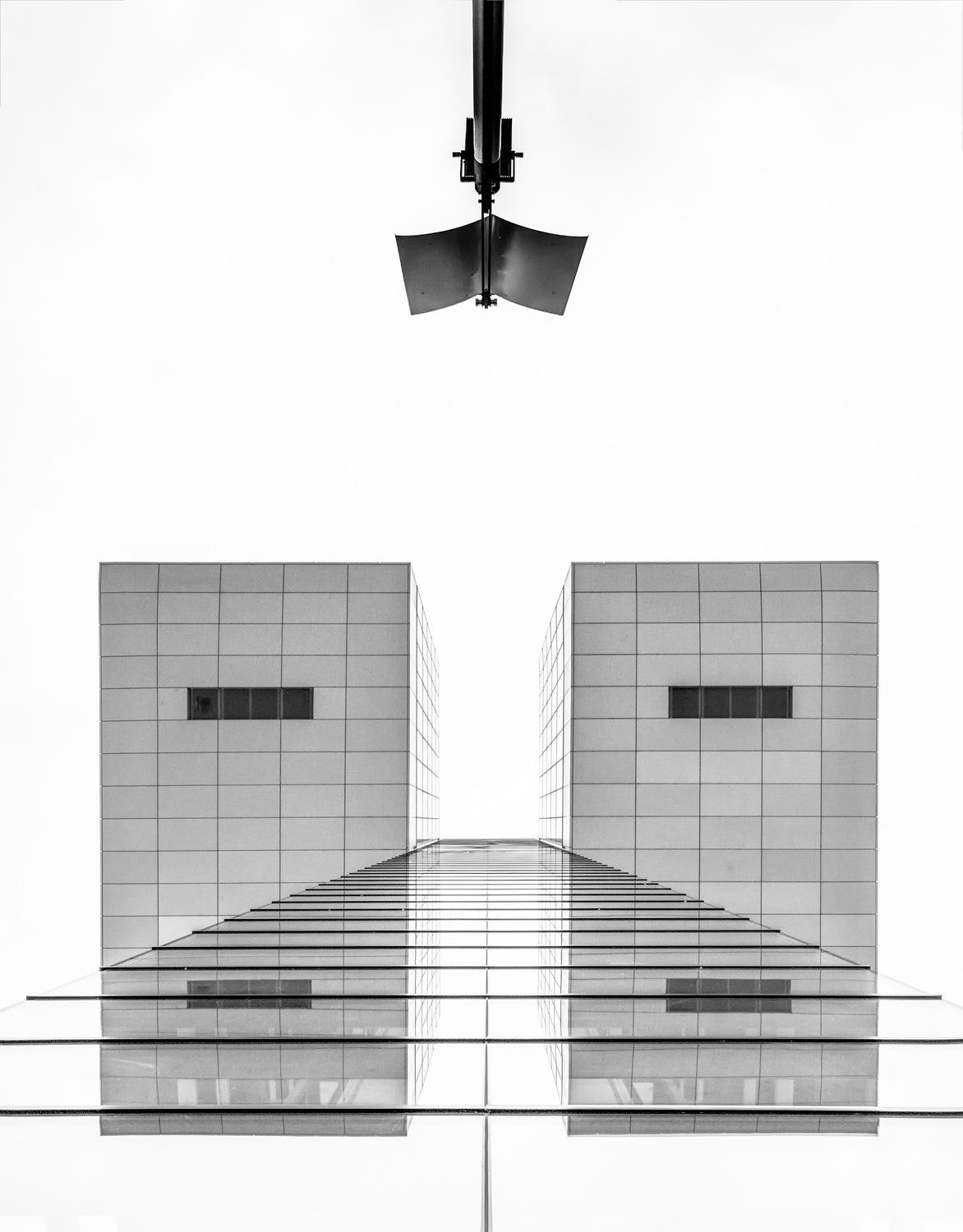 Straight lines and an intruder Poster och Canvastavla