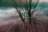 Natures blast. Poster och Canvastavla