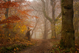 My autumn walk Poster och Canvastavla