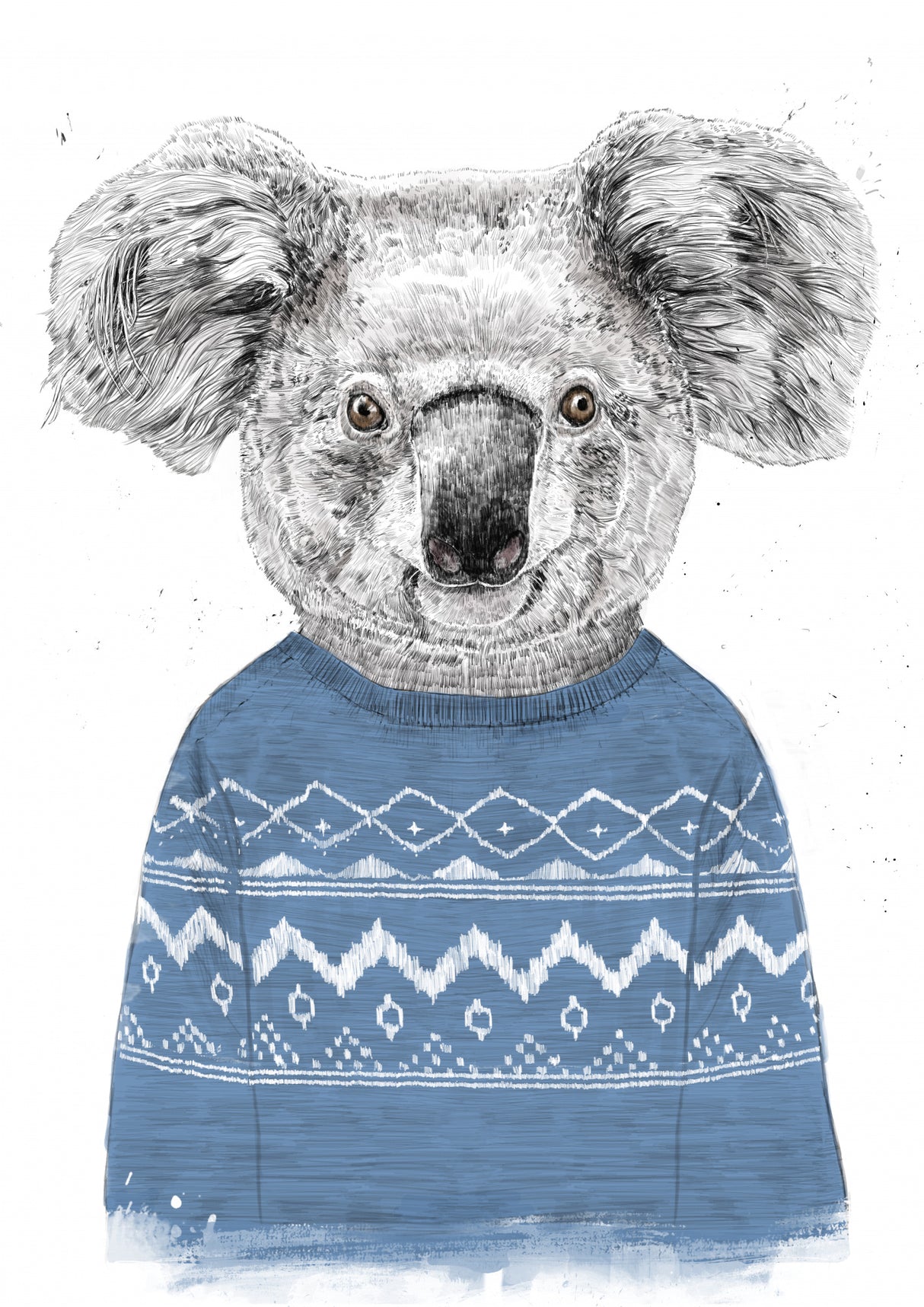 Winter koala (blue) Poster och Canvastavla