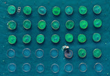 Fish Farm Poster och Canvastavla