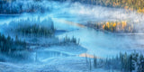 Foggy Autumn Poster och Canvastavla