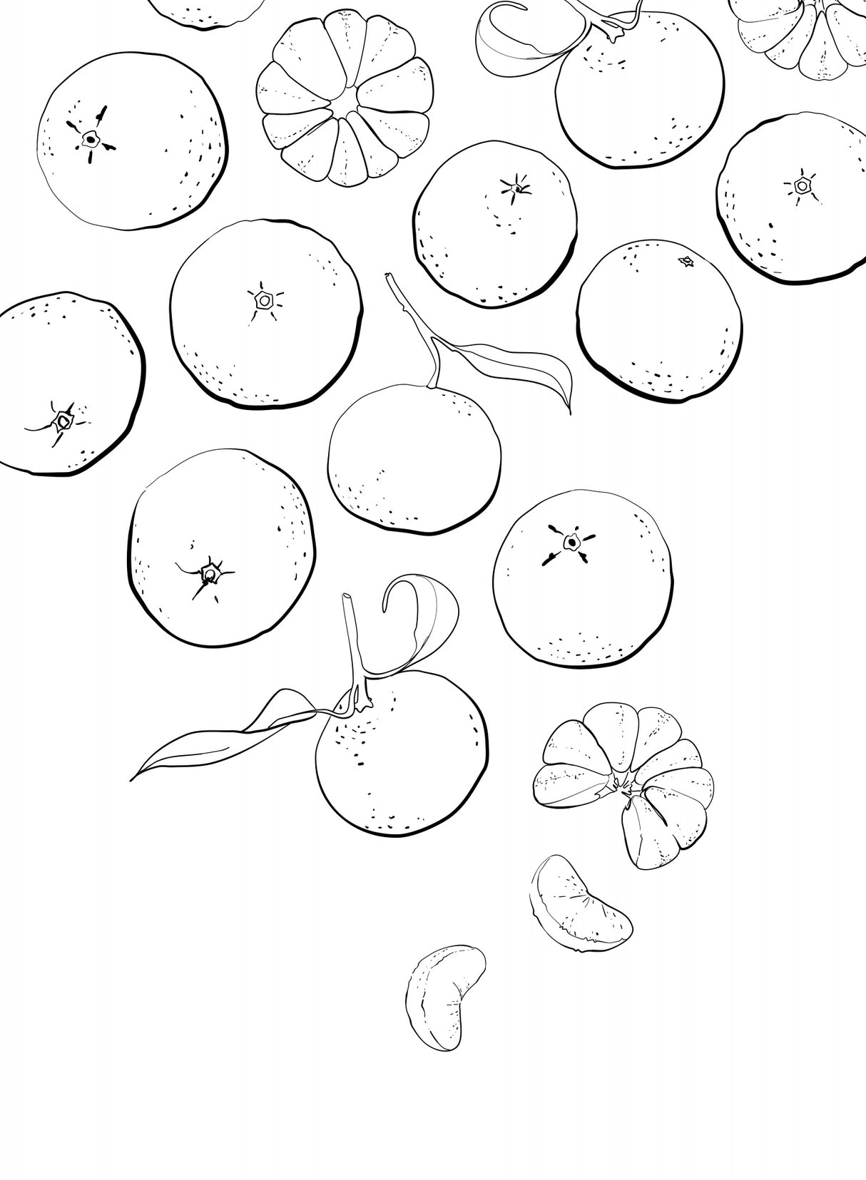Line art tangerines Poster och Canvastavla