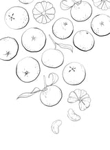 Line art tangerines Poster och Canvastavla