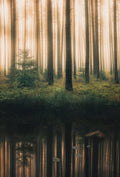 Reflection in the foggy forest Poster och Canvastavla