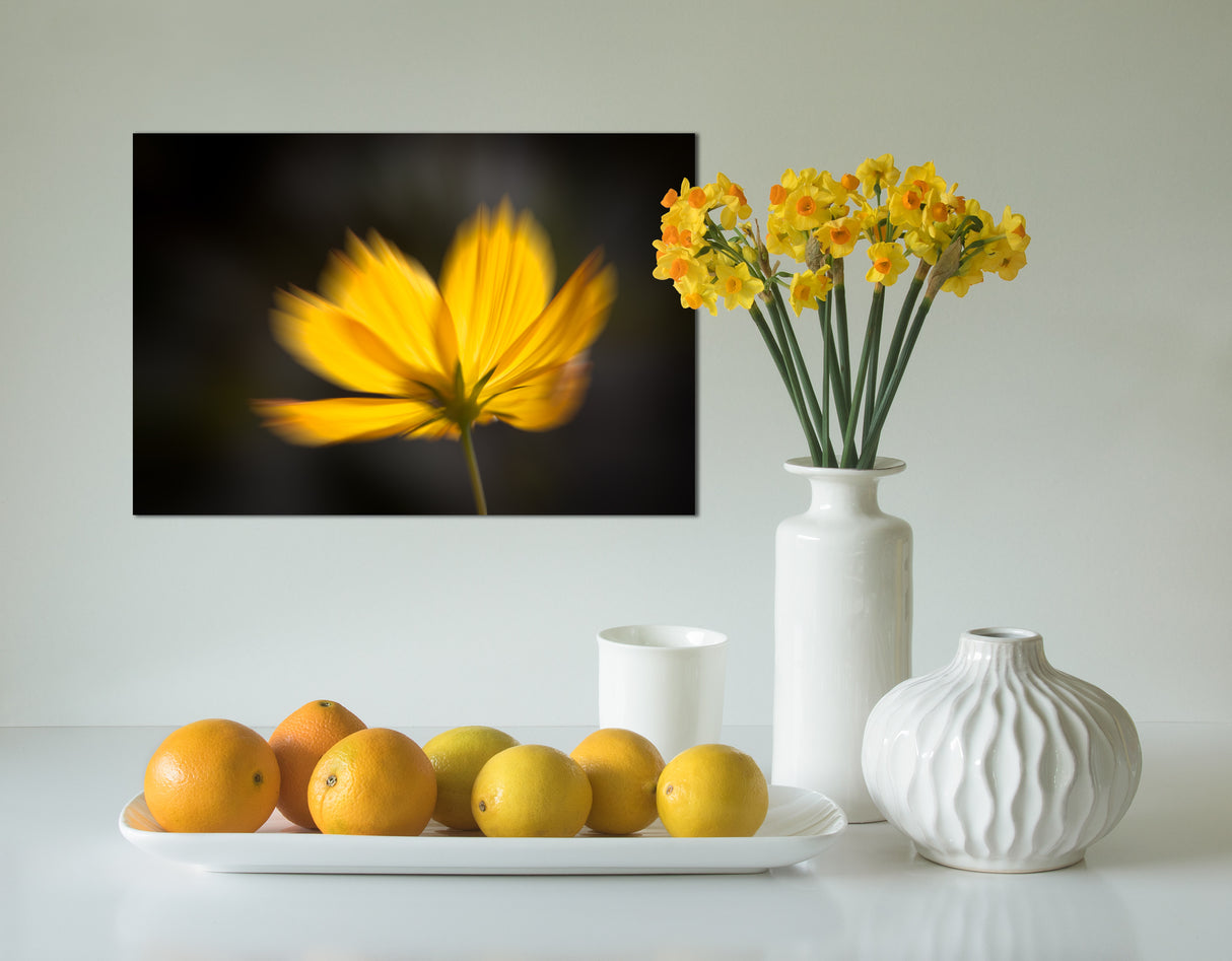 Yellow Display Poster och Canvastavla