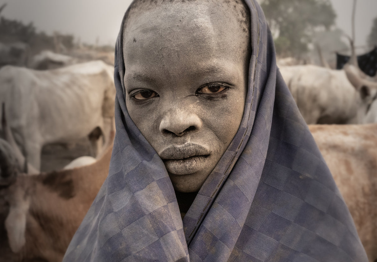 very early in the morning at a mundari camp Poster och Canvastavla