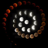 Snail eclipse Poster och Canvastavla