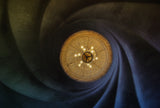 Spiral Poster och Canvastavla
