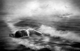 '...washed out to sea...' Poster och Canvastavla
