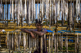 A worker boy of dried fish Poster och Canvastavla