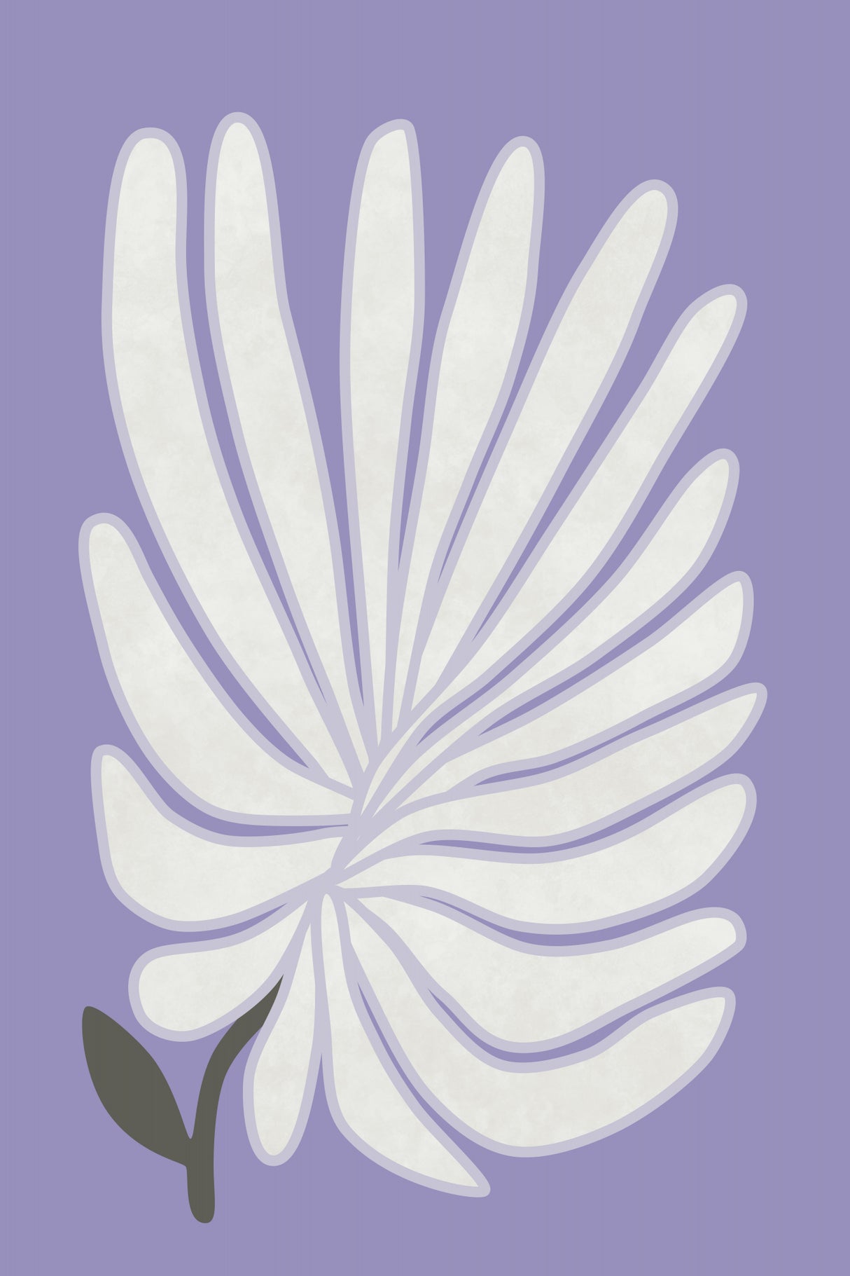 White Chrysanthemum Flower Poster och Canvastavla