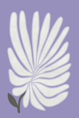 White Chrysanthemum Flower Poster och Canvastavla