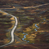 passing through autumns Poster och Canvastavla