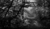 a sorrow beyond dreams Poster och Canvastavla