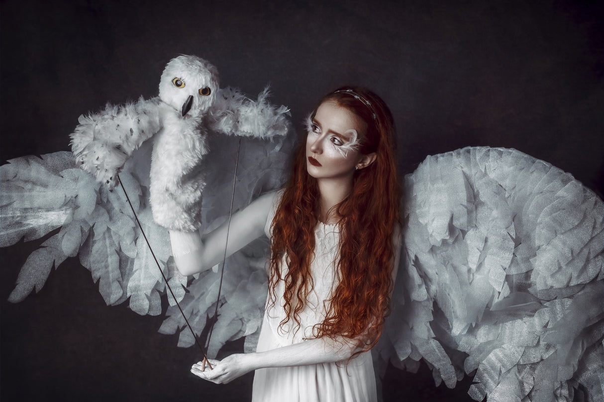 Kvitravn (White Raven) Poster och Canvastavla