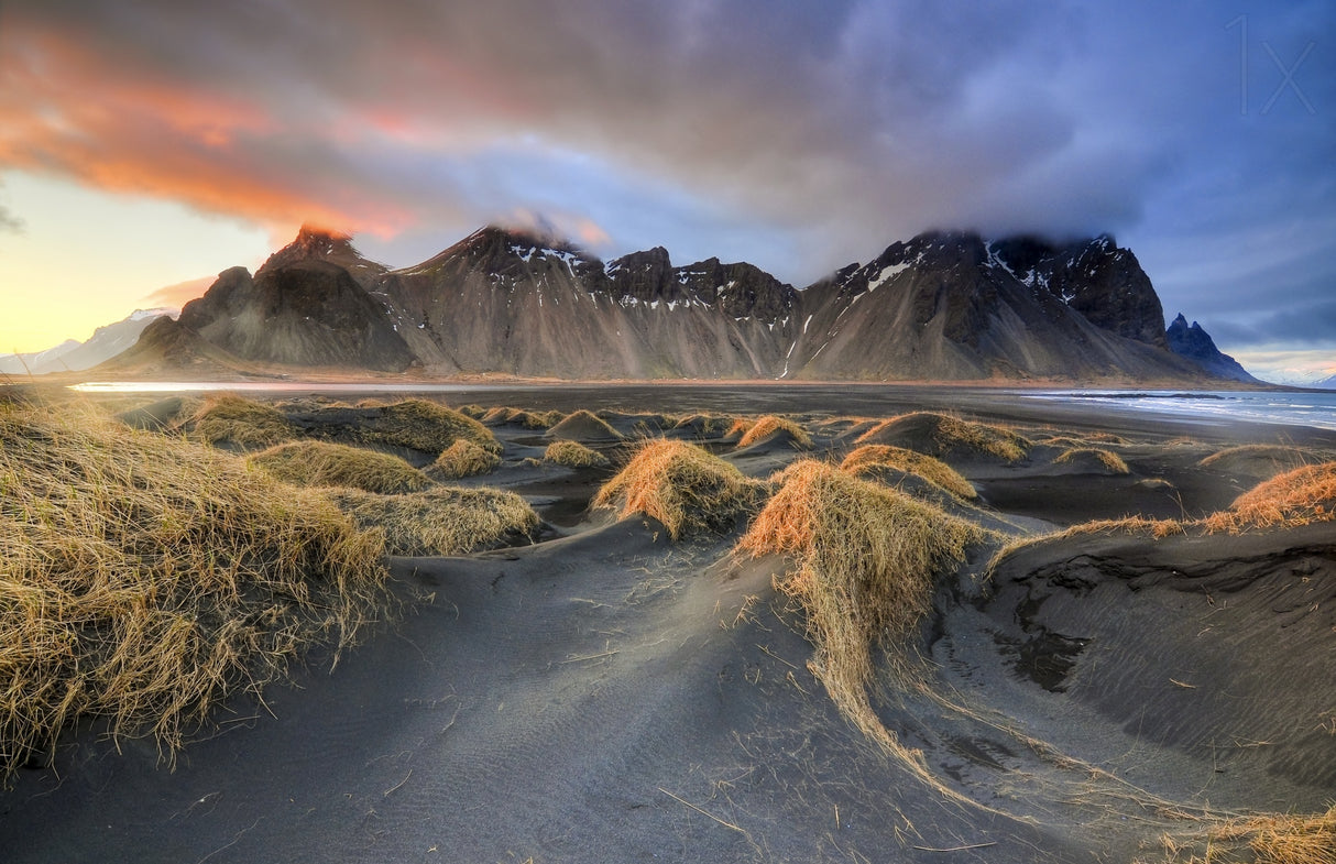 Vestrahorn Poster och Canvastavla