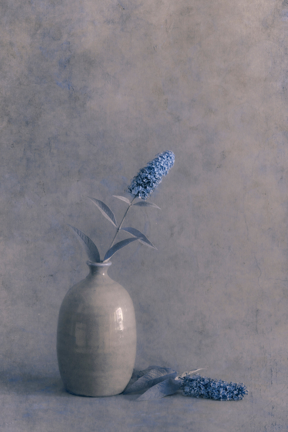 Blue Visions Poster och Canvastavla