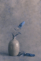 Blue Visions Poster och Canvastavla