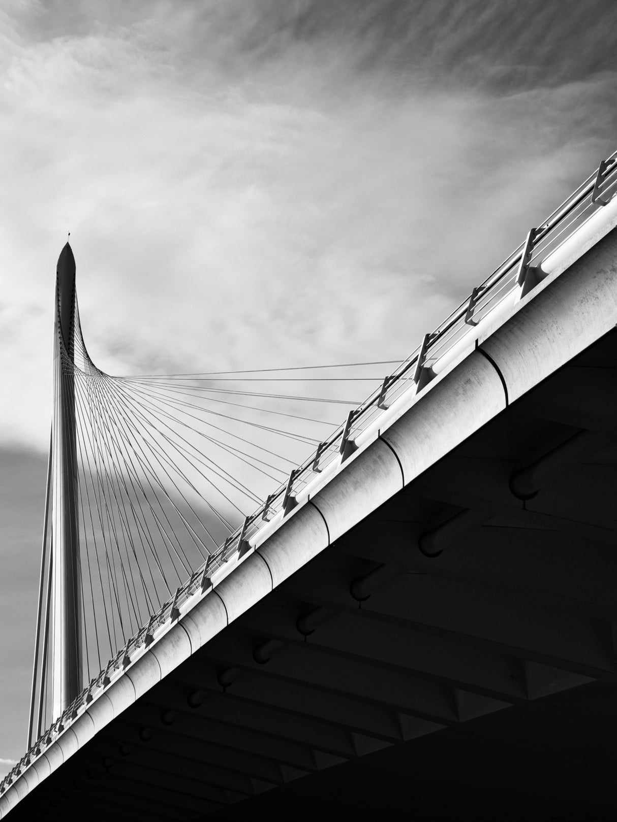 Cable-stayed Bridge Poster och Canvastavla