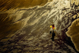 Xiapu Mudflat Poster och Canvastavla