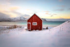 under an arctic sky Poster och Canvastavla