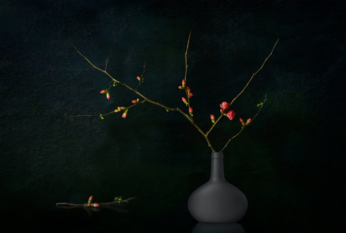 Still Life 2303 Poster och Canvastavla