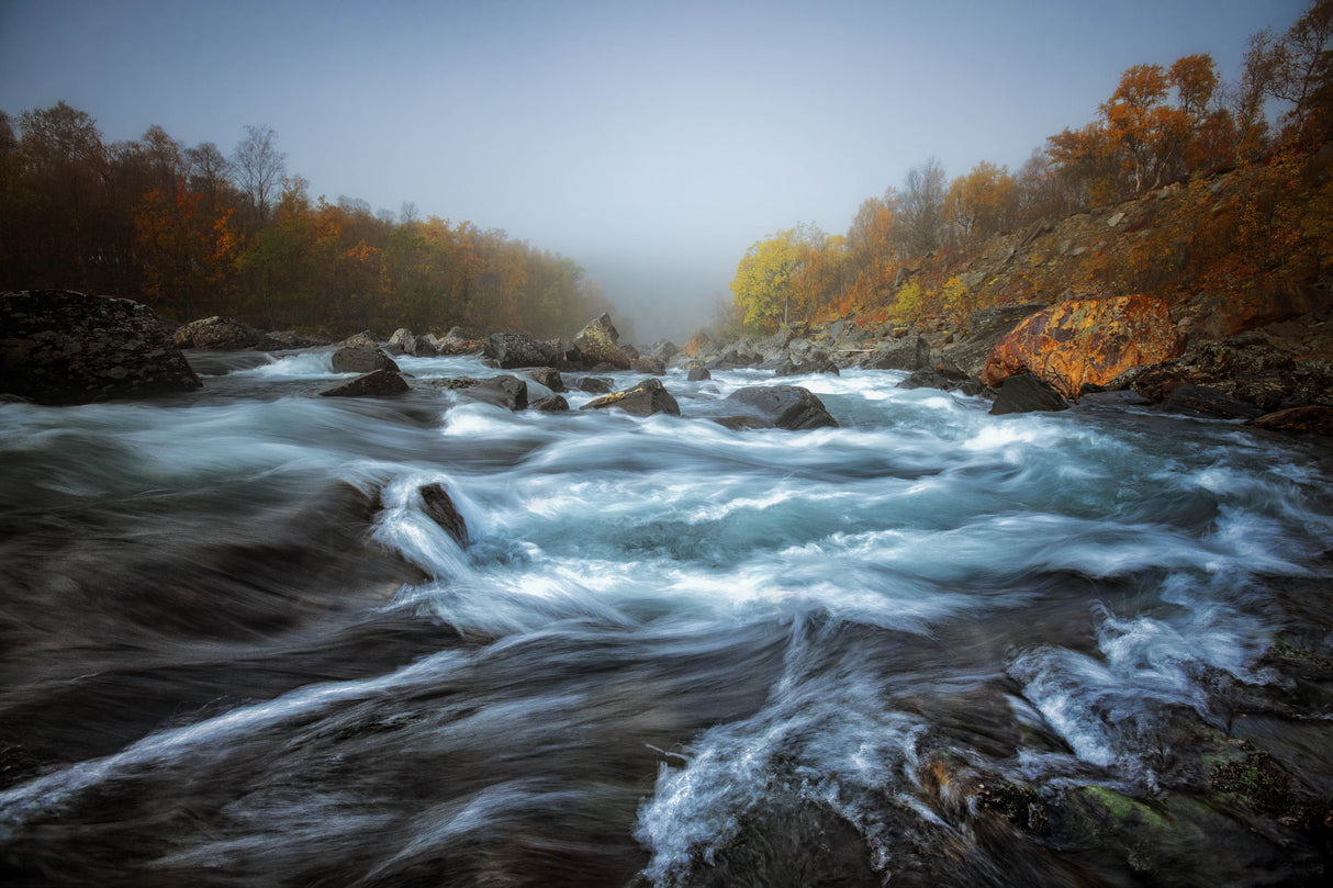 Wild River Poster och Canvastavla