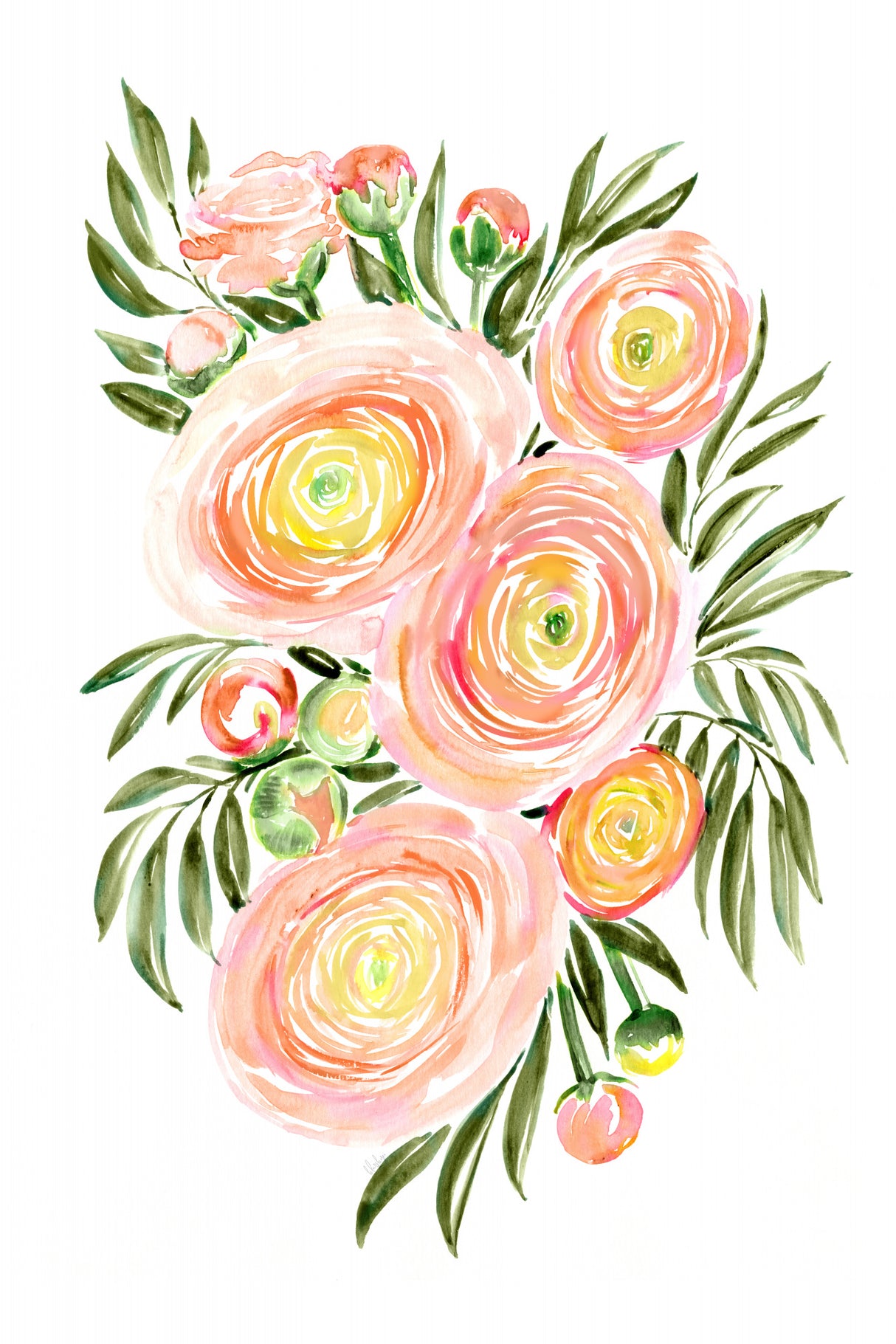 Savanna bouquet of coral ranunculus Poster och Canvastavla