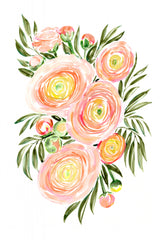 Savanna bouquet of coral ranunculus Poster och Canvastavla
