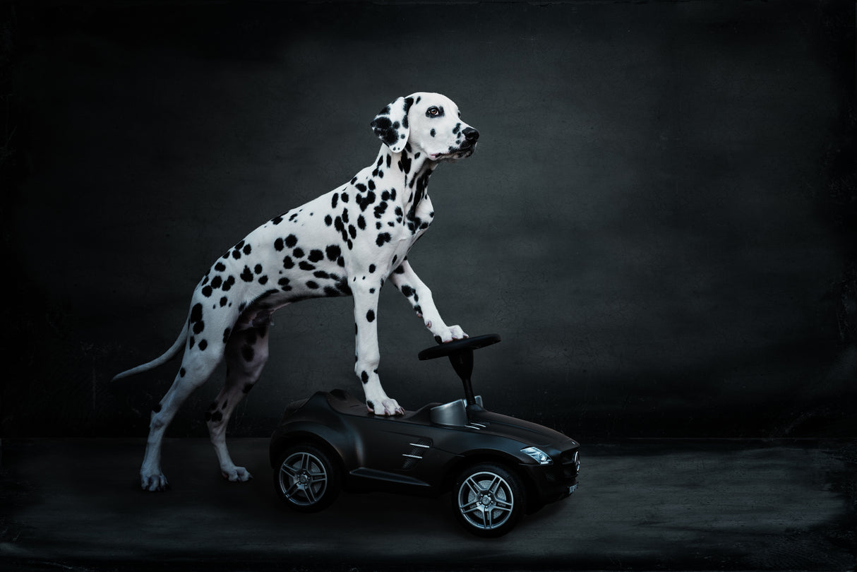 his bobby car Poster och Canvastavla