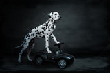 his bobby car Poster och Canvastavla