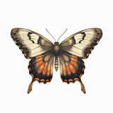 Butterfly 11 Poster och Canvastavla