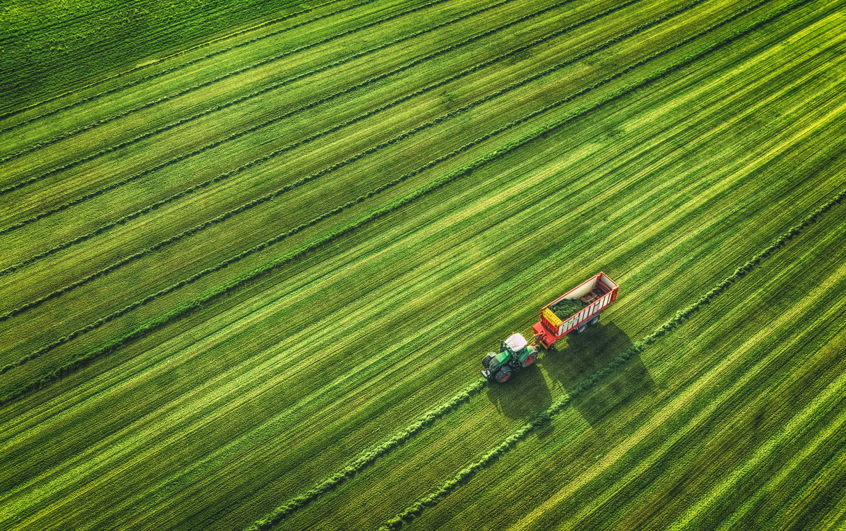 farming Poster och Canvastavla