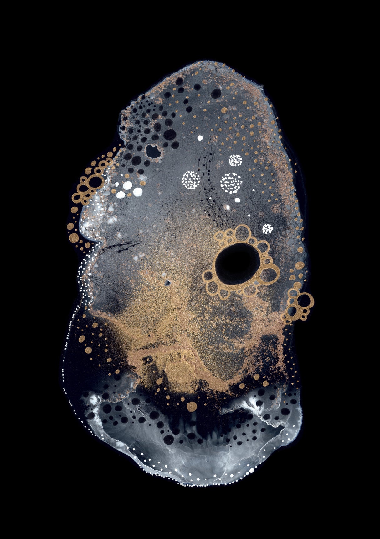Specimen IV Poster och Canvastavla