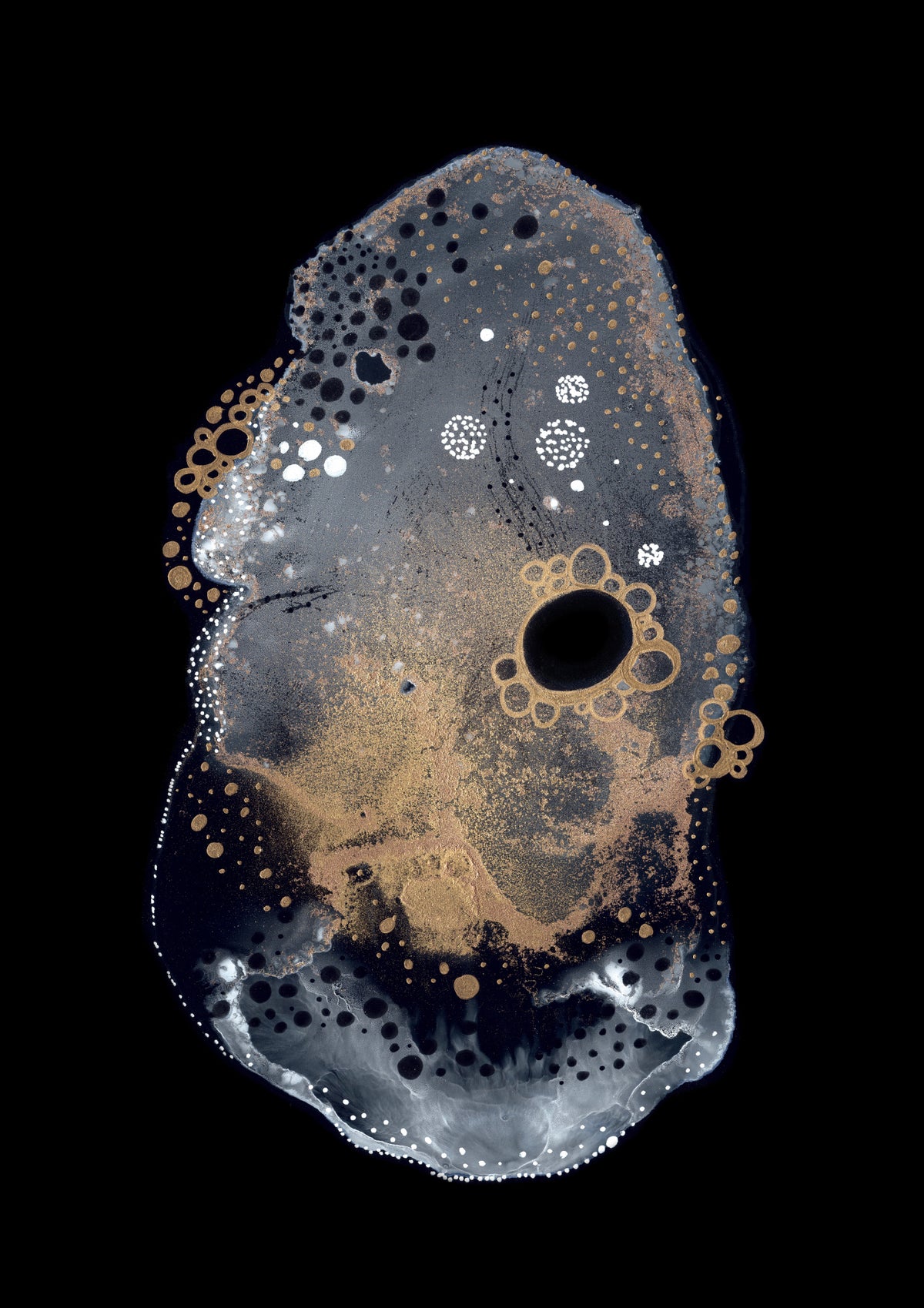 Specimen IV Poster och Canvastavla