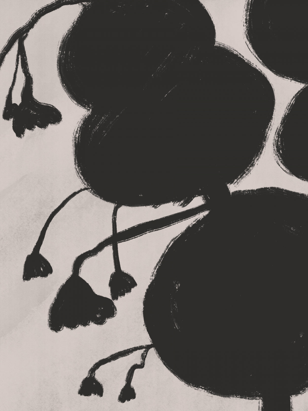 Plant Shadow Poster och Canvastavla