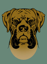 BOXER Poster och Canvastavla