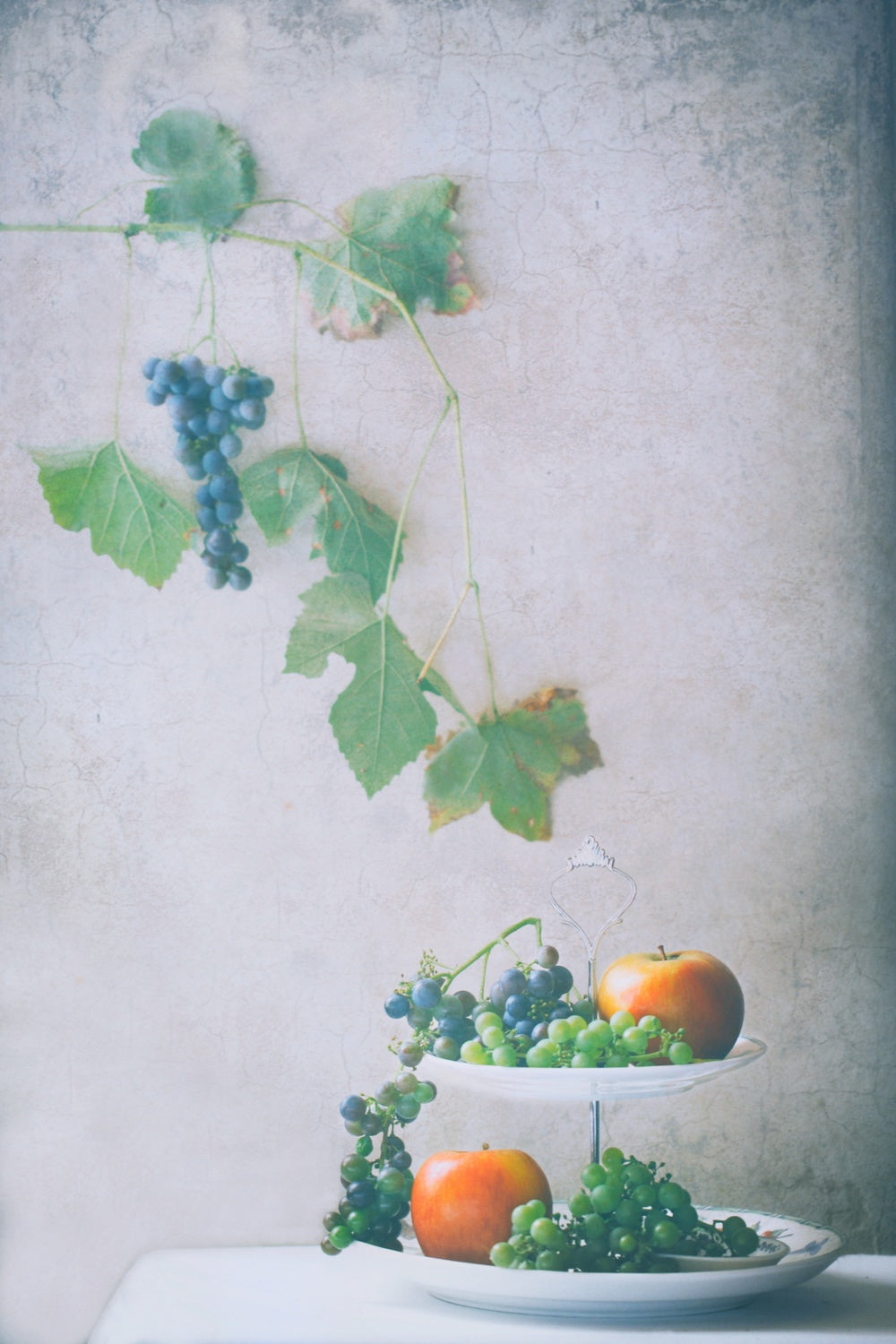Autumn is Here Poster och Canvastavla