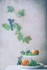 Autumn is Here Poster och Canvastavla