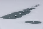 Frozen lake Poster och Canvastavla
